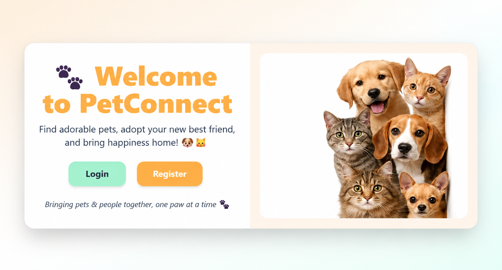PetConnect Platform